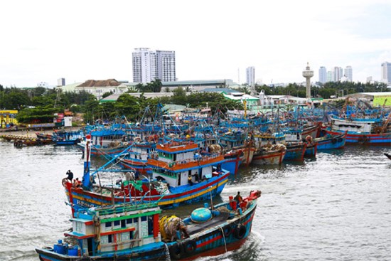 Bão vào biển Đông, hơn 2.500 ngư dân Quảng Nam còn ở ngoài khơi