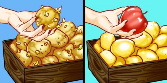 Bỏ quả táo vào rổ khoai tây, rửa dâu tây với giấm: Loạt mẹo vặt hữu ích ai cũng cần-1