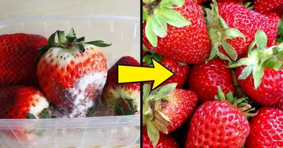 Bỏ quả táo vào rổ khoai tây, rửa dâu tây với giấm: Loạt mẹo vặt hữu ích ai cũng cần-2