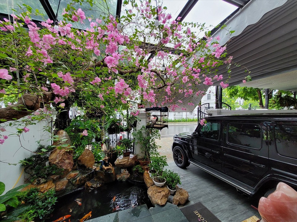 Có gì bên trong căn nhà phố cổ của nam ca sĩ Tuấn Hưng, nơi hàng nghìn khán giả vừa đến nghe hát?-11