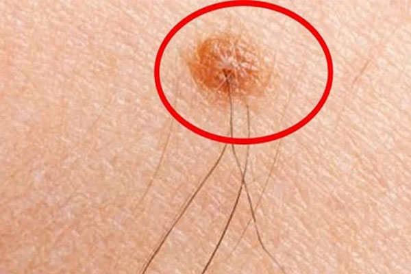 Thầy phong thủy chỉ rõ: 4 vị trí đột nhiên mọc lông gia chủ ngồi không hưởng lộc, tiền bạc ào ào tới-1