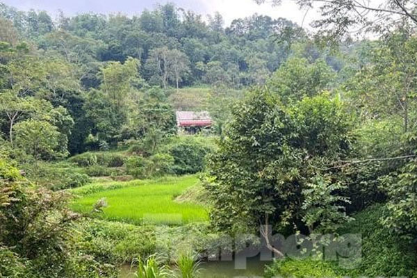 Công an TP.HCM tìm nhân chứng vụ tai nạn chết người-2