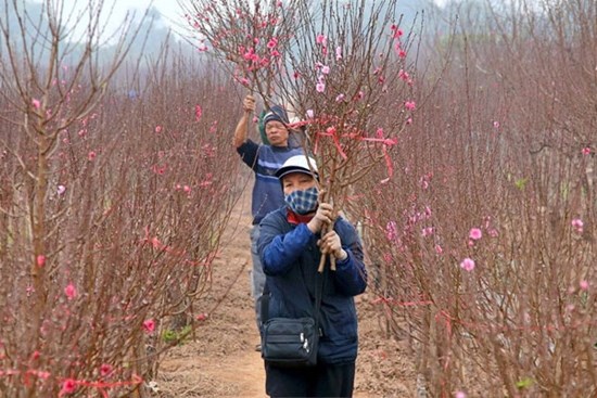 Chốt trình phương án nghỉ 7 ngày dịp Tết Nguyên đán 2023