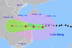 Tạm dừng hoạt động 5 sân bay ở miền Trung do bão Noru-2