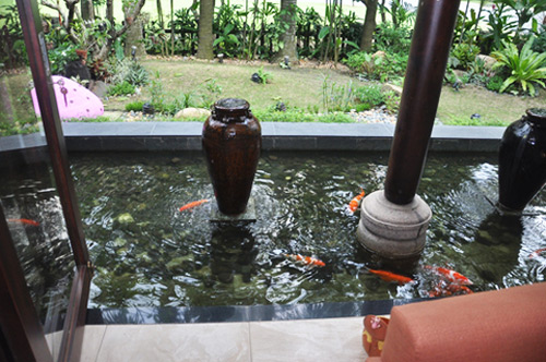 Sao Việt kinh doanh bất động sản: Hoa hậu Hà Kiều Anh mua đất năm 16 tuổi-14