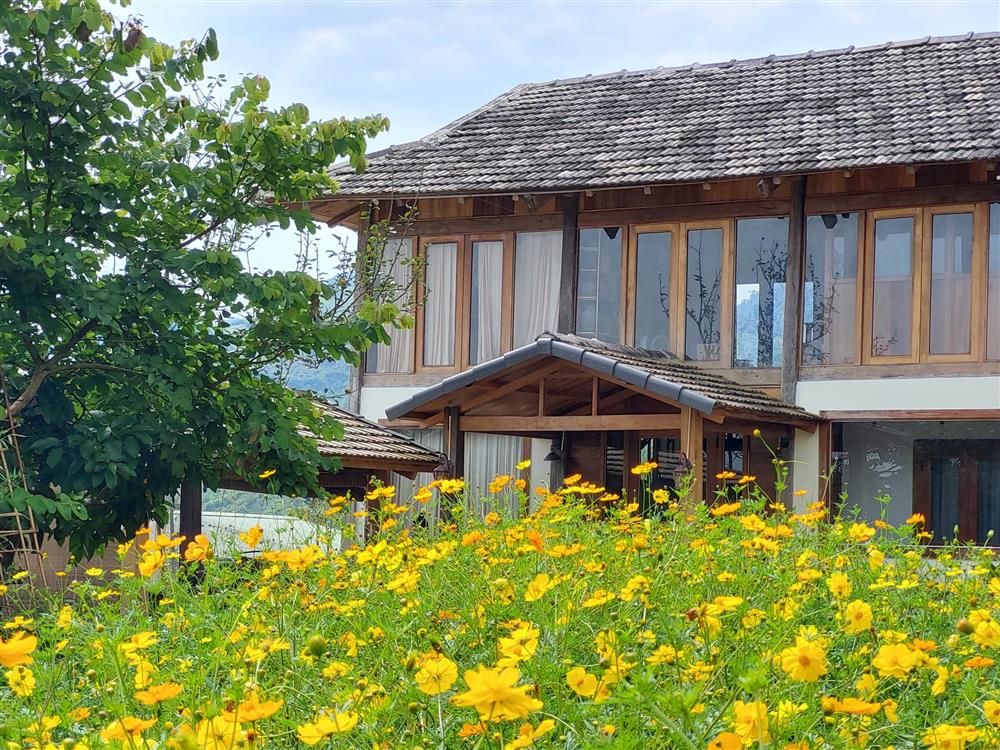 Người phụ nữ bỏ phố về quê, xây homestay đẹp như cổ tích giữa đồi chè Mộc Châu-1