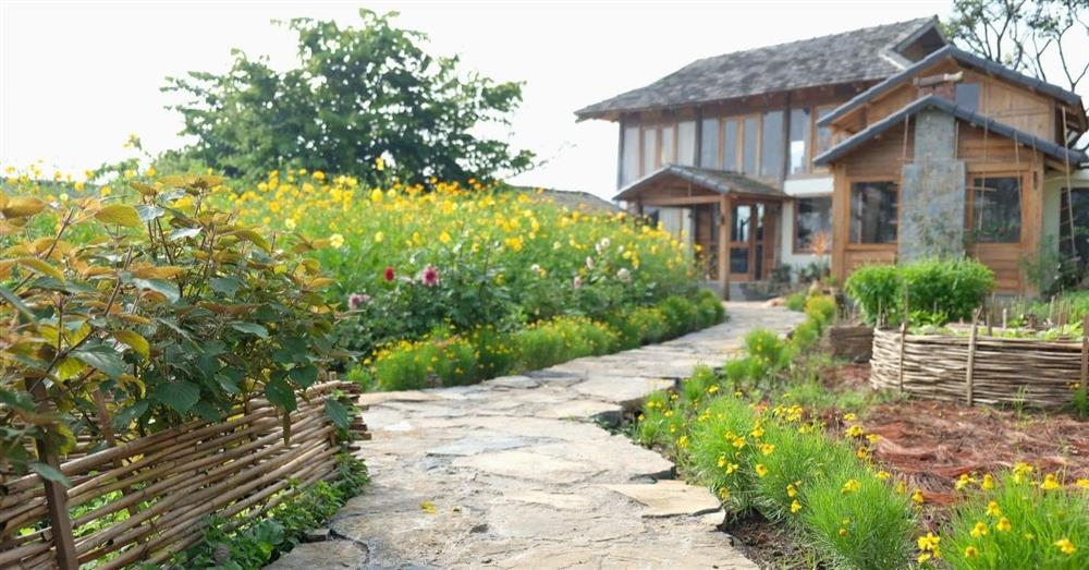 Người phụ nữ bỏ phố về quê, xây homestay đẹp như cổ tích giữa đồi chè Mộc Châu-3