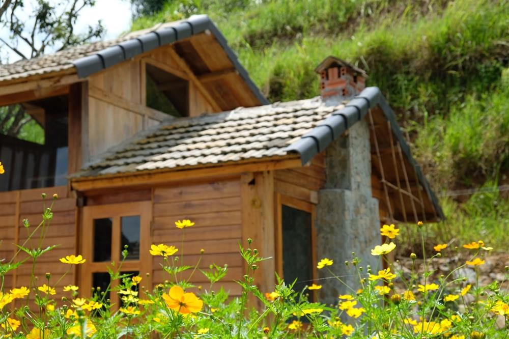 Người phụ nữ bỏ phố về quê, xây homestay đẹp như cổ tích giữa đồi chè Mộc Châu-5