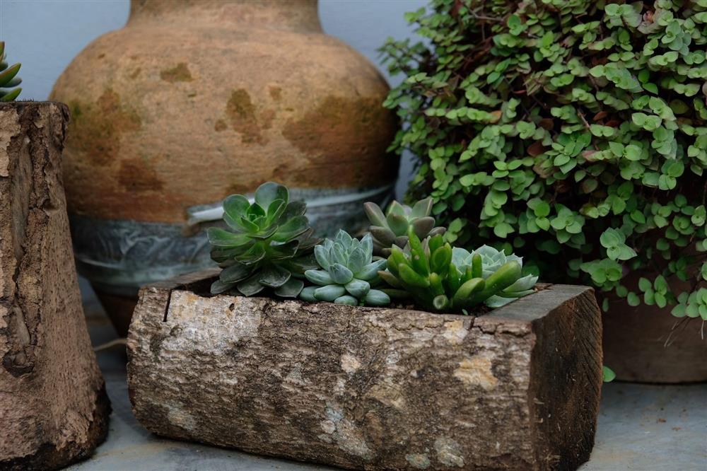 Người phụ nữ bỏ phố về quê, xây homestay đẹp như cổ tích giữa đồi chè Mộc Châu-10