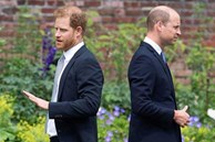 Hoàng tử William vẫn chưa thể tha thứ cho vợ chồng Harry - Meghan