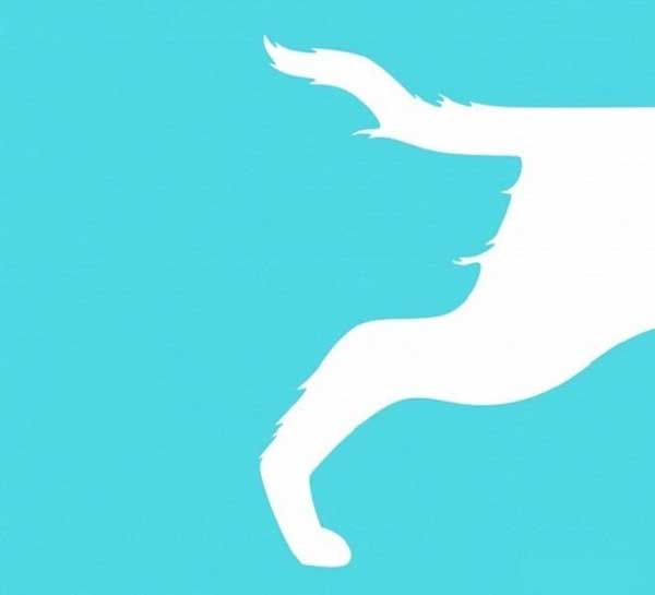 Trắc nghiệm tính cách: Bạn nhìn thấy cá sấu hay chim?-1