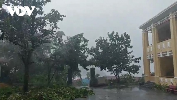 Nhiều nơi bắt đầu mưa to, nhà cửa tốc mái, cây xanh gãy đổ-26