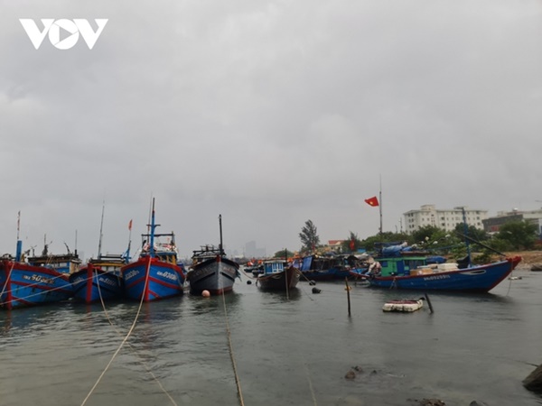 Nhiều nơi bắt đầu mưa to, nhà cửa tốc mái, cây xanh gãy đổ-42