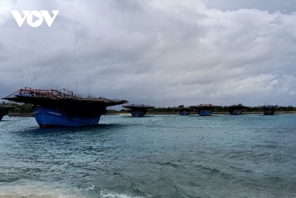 Nhiều nơi bắt đầu mưa to, nhà cửa tốc mái, cây xanh gãy đổ-59