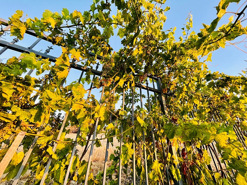 Hậu chia tay, doanh nhân Thủy Tiên mua thêm biệt thự như tòa lâu đài nguy nga-10