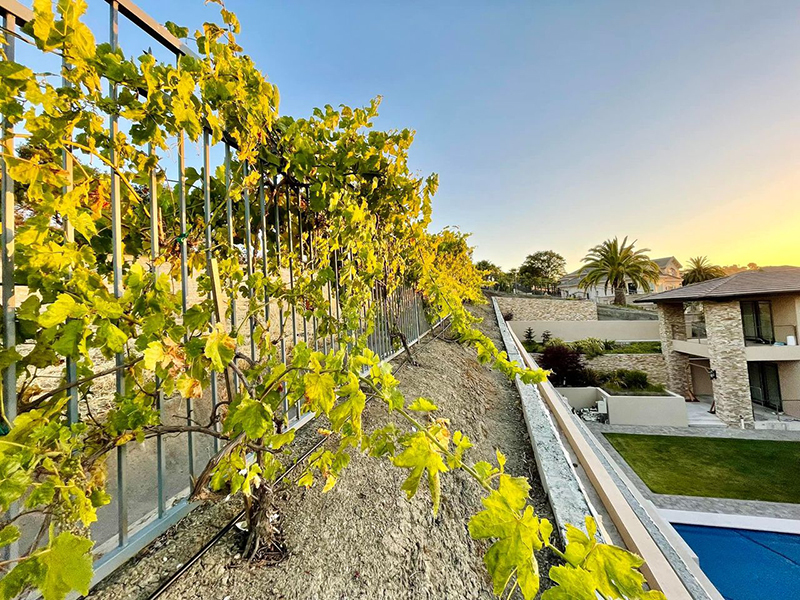 Hậu chia tay, doanh nhân Thủy Tiên mua thêm biệt thự như tòa lâu đài nguy nga-11