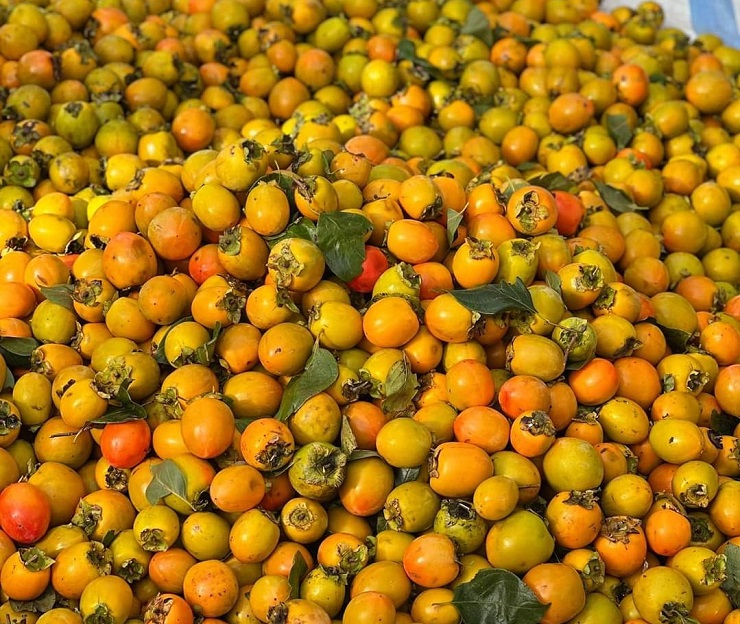 Loại quả quê bán đầy chợ với giá rẻ hều” được biến tấu thành đặc sản nửa triệu đồng/kg-1