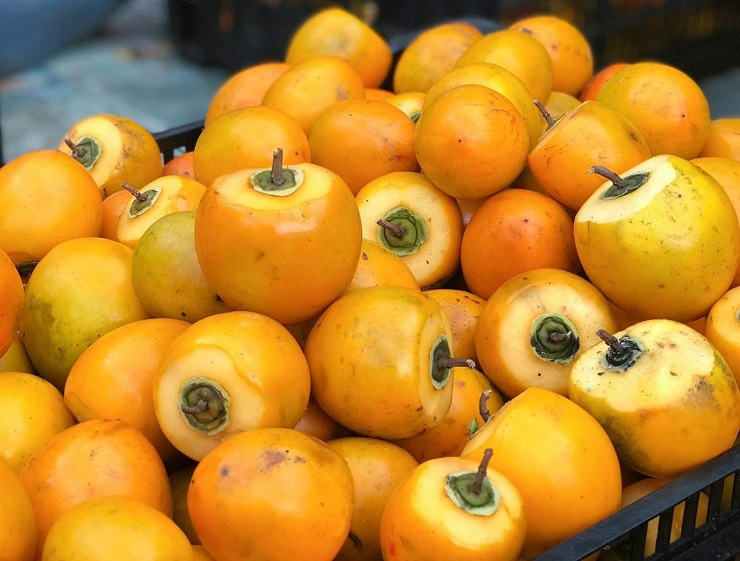 Loại quả quê bán đầy chợ với giá rẻ hều” được biến tấu thành đặc sản nửa triệu đồng/kg-2