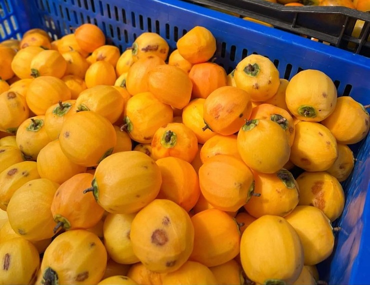 Loại quả quê bán đầy chợ với giá rẻ hều” được biến tấu thành đặc sản nửa triệu đồng/kg-3