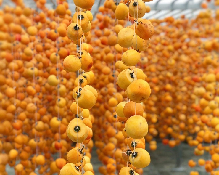 Loại quả quê bán đầy chợ với giá rẻ hều” được biến tấu thành đặc sản nửa triệu đồng/kg-4