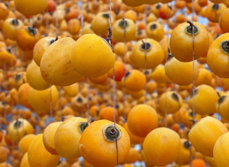 Loại quả quê bán đầy chợ với giá rẻ hều” được biến tấu thành đặc sản nửa triệu đồng/kg-5