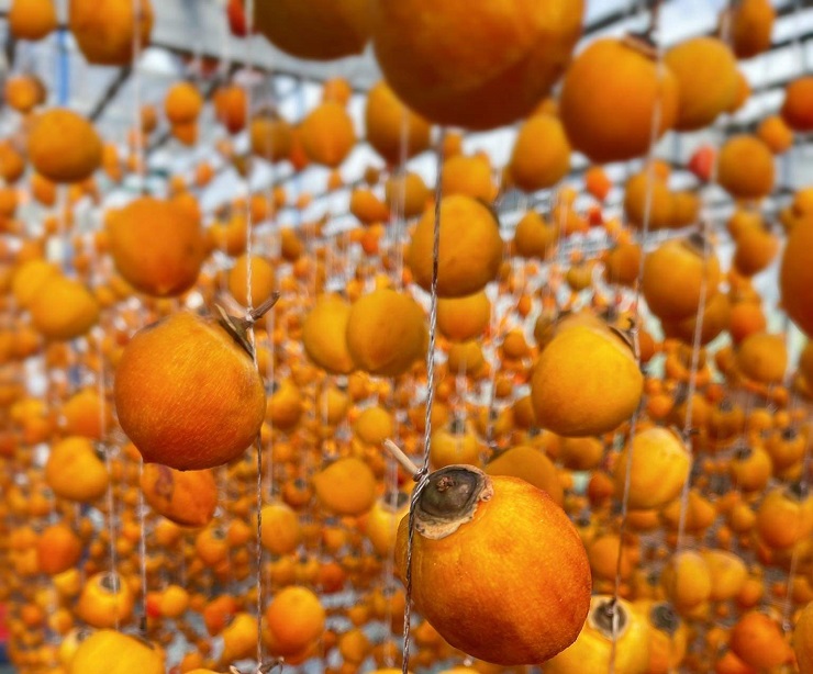 Loại quả quê bán đầy chợ với giá rẻ hều” được biến tấu thành đặc sản nửa triệu đồng/kg-6