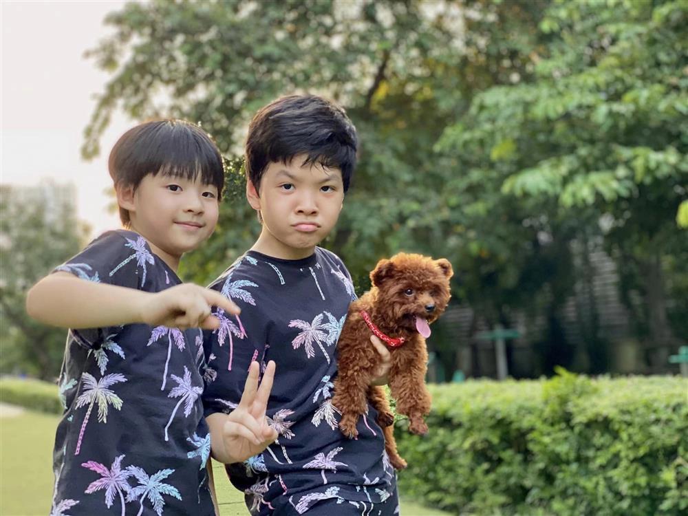 Con trai lười làm bài tập về nhà, Đan Lê có cách trị cực khéo-2