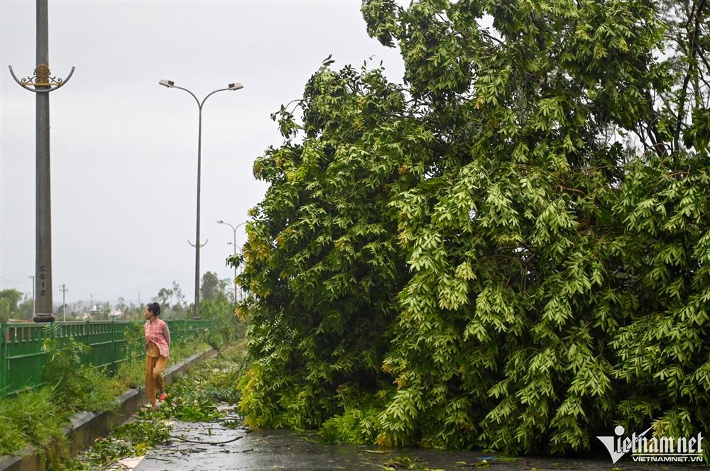 Khung cảnh tan hoang sau bão ở Quảng Nam-1