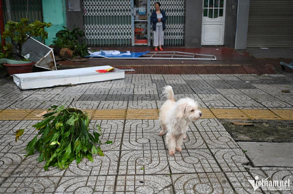 Khung cảnh tan hoang sau bão ở Quảng Nam-2