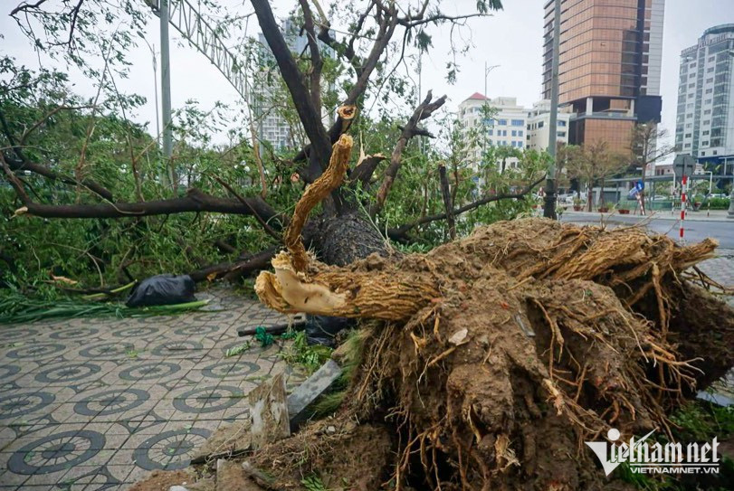 Khung cảnh tan hoang sau bão ở Quảng Nam-11