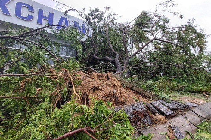 Khung cảnh tan hoang sau bão ở Quảng Nam-12