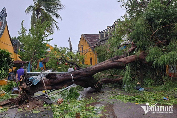 Khung cảnh tan hoang sau bão ở Quảng Nam-13