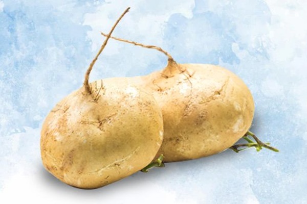 Không ngờ loại củ giá cực rẻ, bán đầy chợ lại tốt cho sức khỏe đến vậy-1