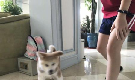 Quách Tĩnh Lý Á Bằng sở hữu biệt thự như mơ dù phá sản vì vỡ nợ-4