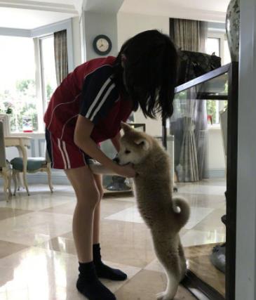 Quách Tĩnh Lý Á Bằng sở hữu biệt thự như mơ dù phá sản vì vỡ nợ-3