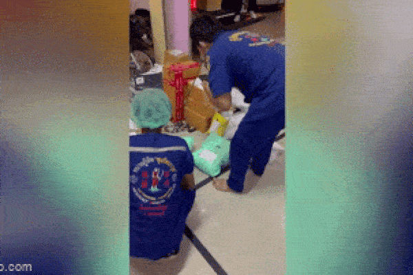 Phát hiện cặp rắn lạ màu cam cực độc trong bãi đậu xe ở Australia-2