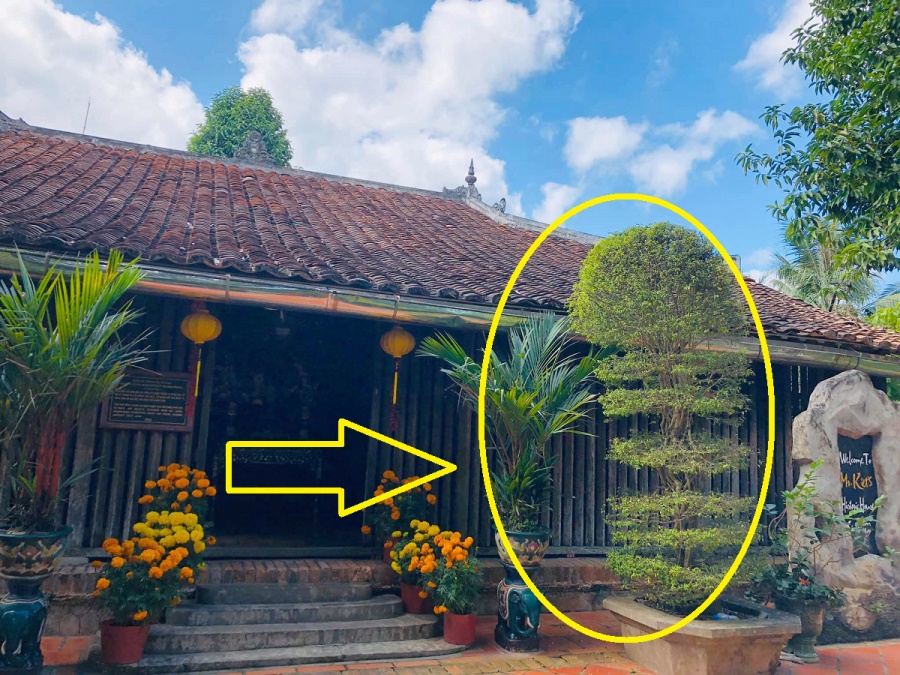 Người xưa nói rồi: Muốn nhiều phúc lắm lộc, nhà phải có 3 thứ sạch, 1 thứ đầy, chớ coi thường-2