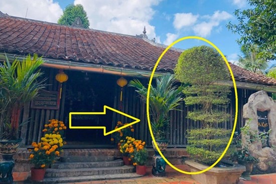 Người xưa nói rồi: 'Muốn nhiều phúc lắm lộc, nhà phải có 3 thứ sạch, 1 thứ đầy', chớ coi thường