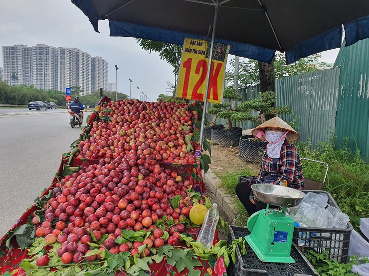 Mận khổng lồ” gắn mác đặc sản Sa Pa xuống phố, nhìn bảng giá không khỏi bất ngờ-2