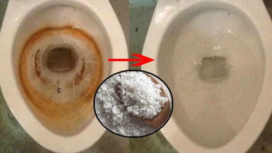 Đổ 4 thứ này vào bồn cầu: Mảng bám ố vàng đến đâu cũng sạch tinh, hết sạch mùi hôi khó chịu-2