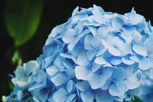 9 nốt ruồi trên mặt quý hơn vàng mười, sở hữu 1/9 cũng đủ may mắn, nhiều người chê xấu lại xóa đi-7