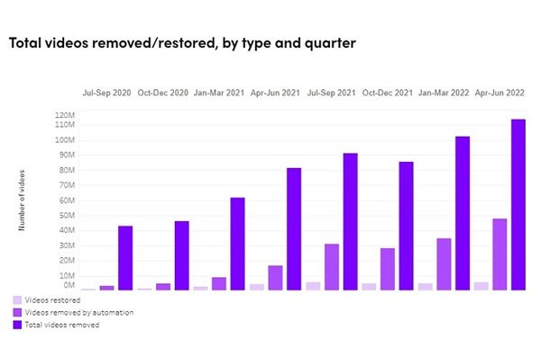 TikTok phải gỡ 113 triệu video rác, độc hại-2