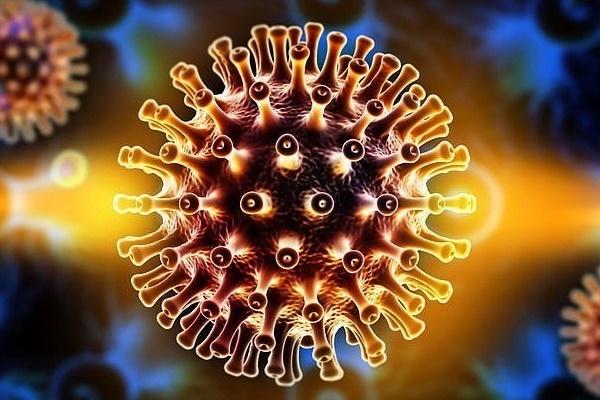 Ai dễ nhiễm virus Adeno?-1