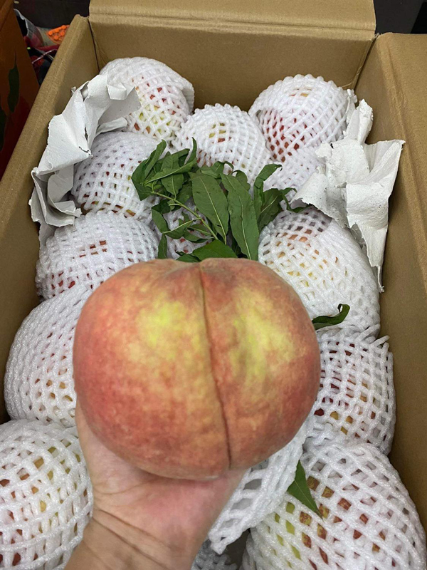 Loại đào Trung Quốc giá đến 200.000 đồng/kg, dân buôn bán cả vài tấn quả-2