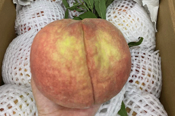 Bưởi Trung Quốc đỏ au la liệt chợ, đắt hơn cả bưởi Việt-4