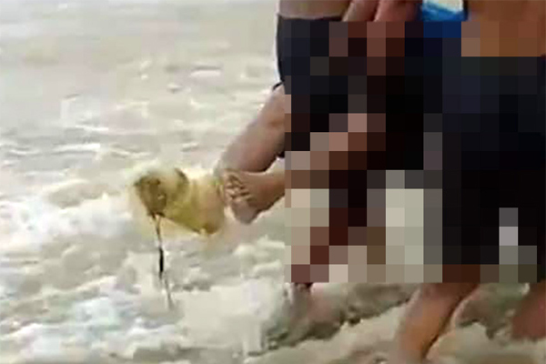 Hoàn cảnh xót xa của 3 đứa trẻ bỗng chốc mồ côi bố mẹ sau cơn lũ: Rất cần sự chung tay để các cháu tiếp tục được đi học”-5