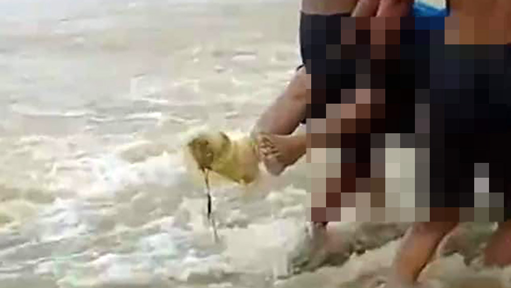 Thấy thi thể người chồng trong vụ việc hai vợ chồng bị nước cuốn trôi-1