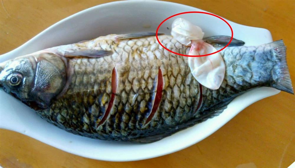 3 bộ phận đắt nhất của con cá sánh ngang” với tổ yến, người Việt toàn vứt đi-2