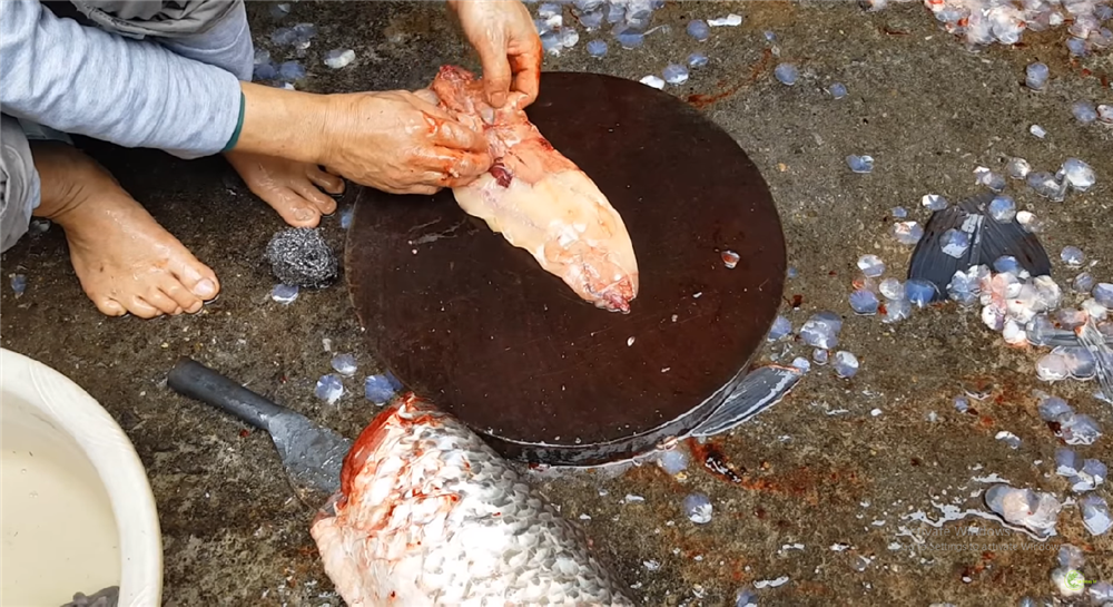 3 bộ phận đắt nhất của con cá sánh ngang” với tổ yến, người Việt toàn vứt đi-5