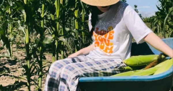 Công an xác định Tina Dương có dấu hiệu lừa bán ôtô đi thuê, chiếm đoạt hàng trăm triệu đồng-2